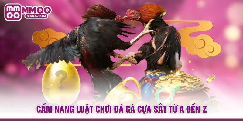 Cẩm nang luật chơi đá gà cựa sắt từ A đến Z