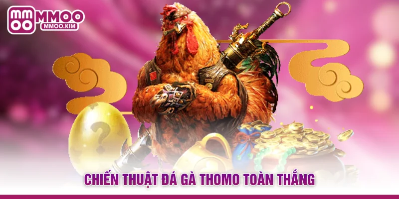 Chiến thuật đá gà Thomo toàn thắng