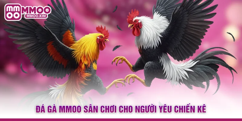 Đá gà MMOO sân chơi cho người yêu chiến kê