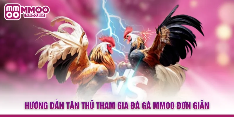 Hướng dẫn tân thủ tham gia Đá gà MMOO đơn giản