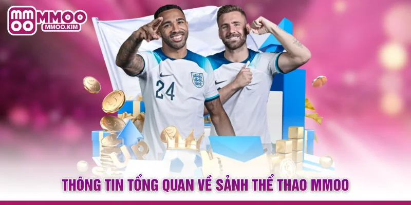 Thông tin tổng quan về sảnh Thể thao MMOO