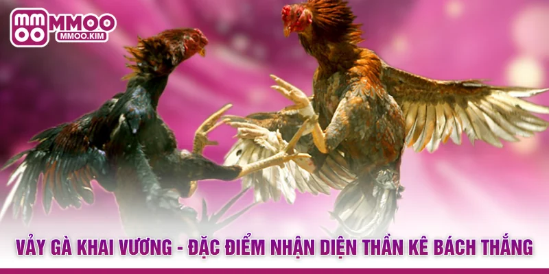 Vảy Gà Khai Vương - Đặc Điểm Nhận Diện Thần Kê Bách Thắng 1 Vảy Gà Khai Vương - Đặc Điểm Nhận Diện Thần Kê Bách Thắng